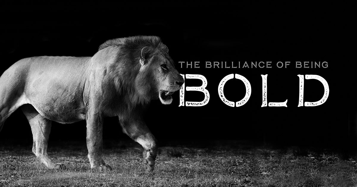 The Brilliance of Being Bold – University of Badassery